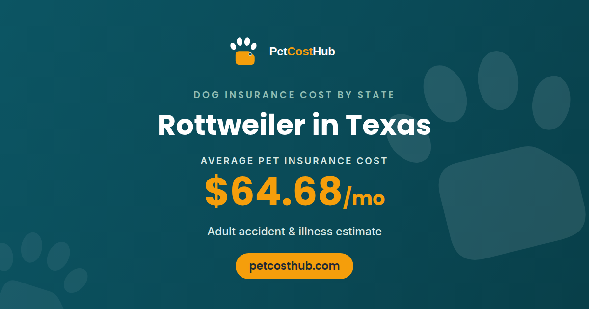 Rottweiler pet insurance cost in Texas: average $64.68 per month