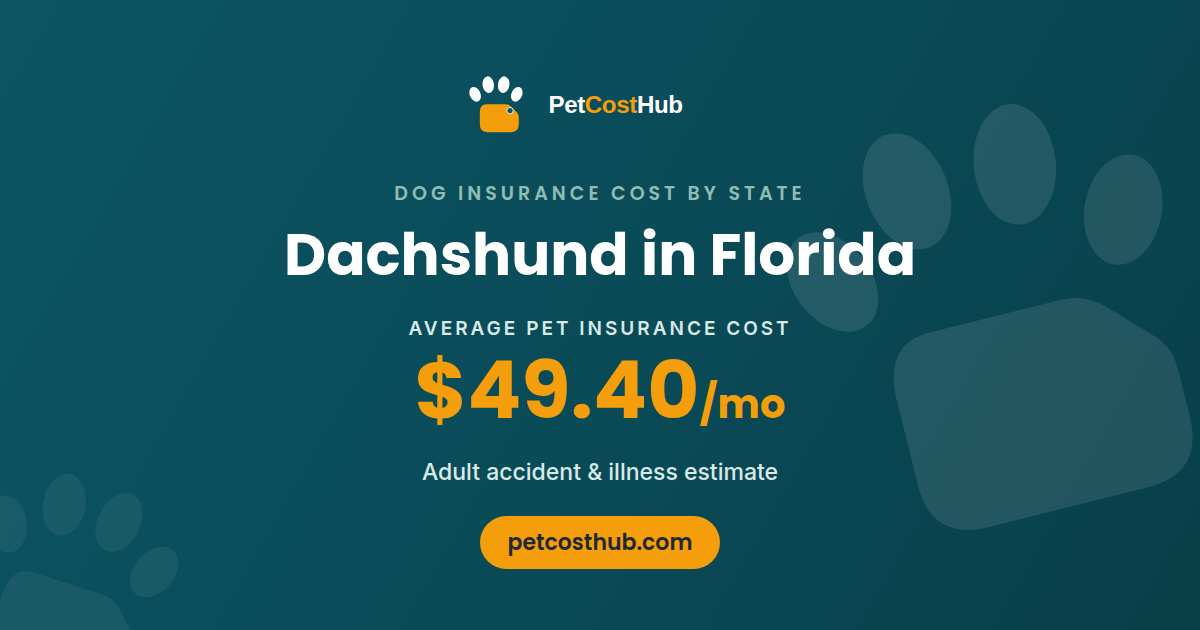 Dachshund pet insurance cost in Florida: average $49.40 per month