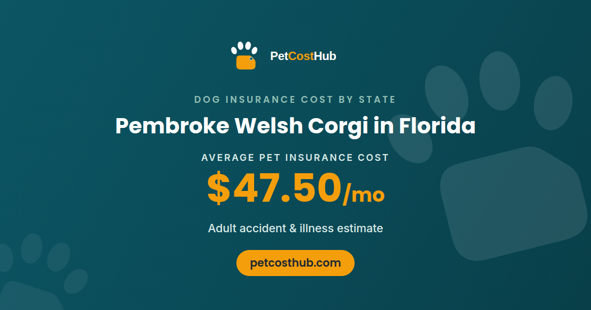 Pembroke Welsh Corgi pet insurance cost in Florida: average $47.50 per month
