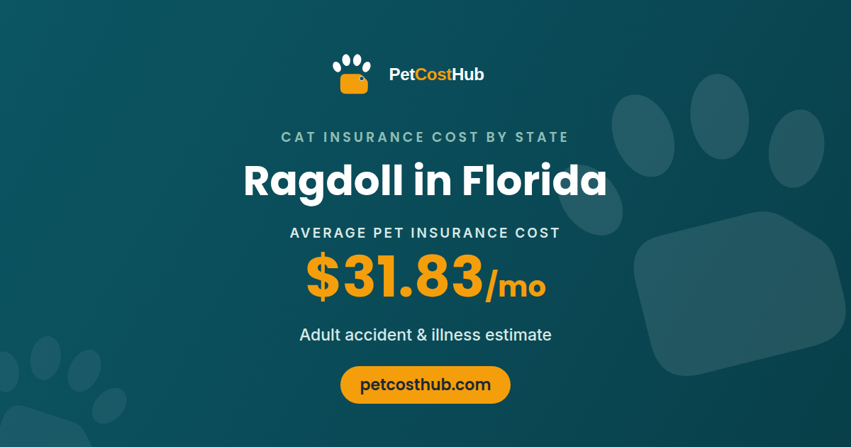 Ragdoll pet insurance cost in Florida: average $31.83 per month