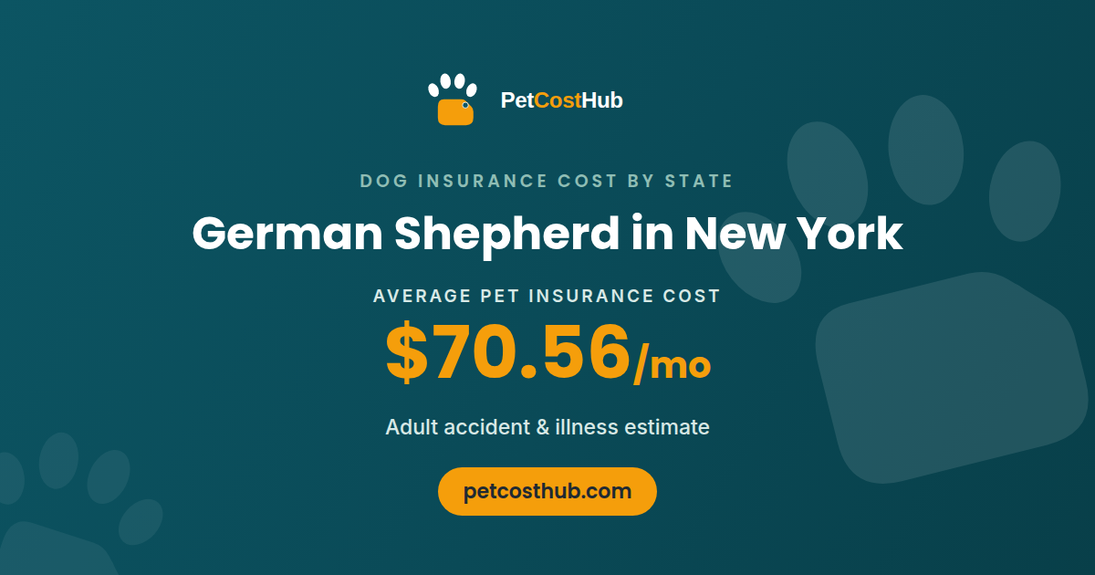 German Shepherd pet insurance cost in New York: average $70.56 per month