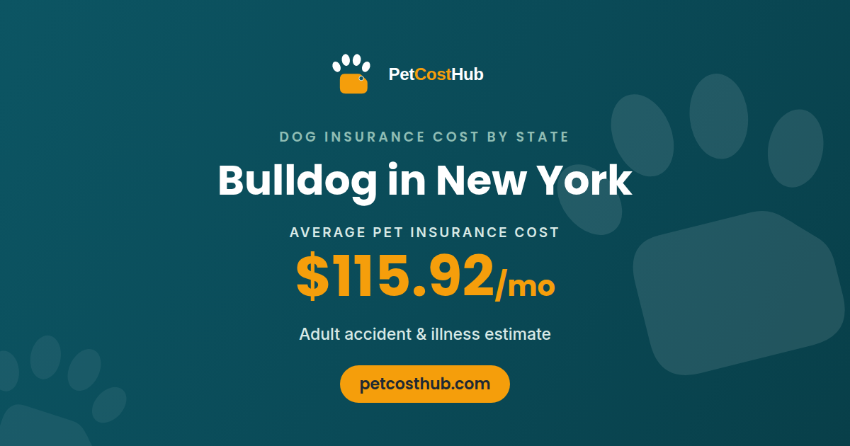 Bulldog pet insurance cost in New York: average $115.92 per month