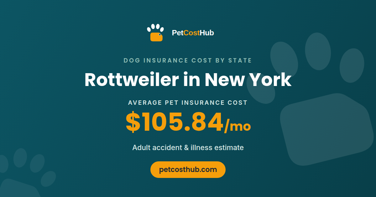 Rottweiler pet insurance cost in New York: average $105.84 per month