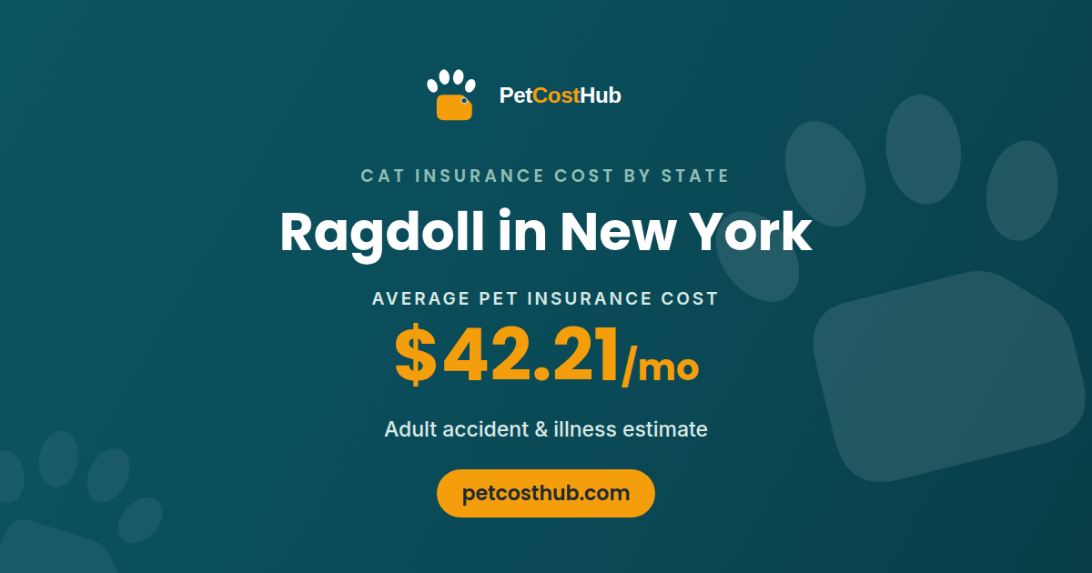 Ragdoll pet insurance cost in New York: average $42.21 per month