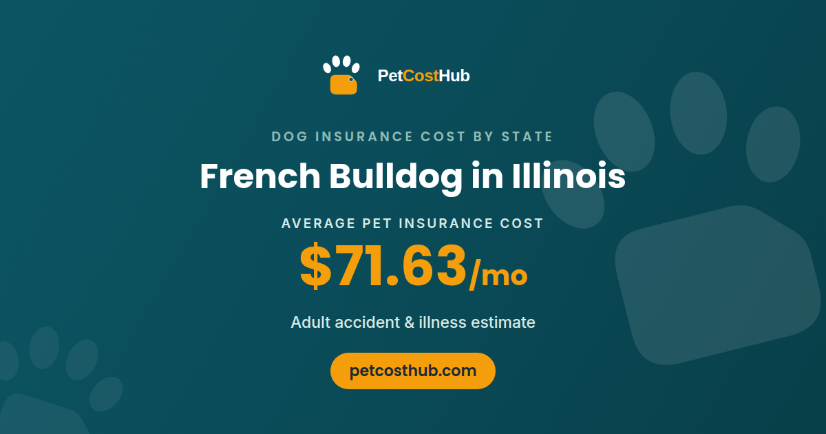French Bulldog pet insurance cost in Illinois: average $71.63 per month