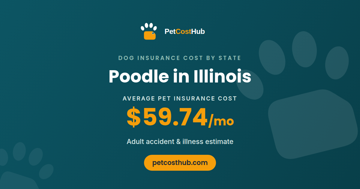 Poodle pet insurance cost in Illinois: average $59.74 per month