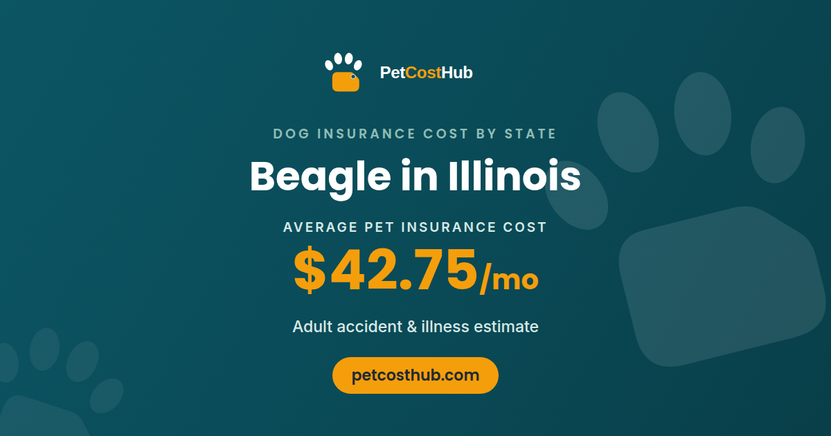 Beagle pet insurance cost in Illinois: average $42.75 per month