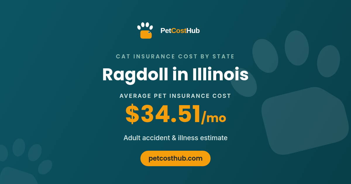 Ragdoll pet insurance cost in Illinois: average $34.51 per month