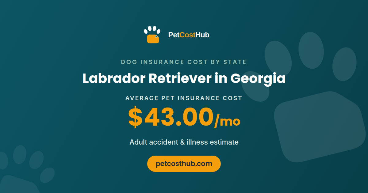 Labrador Retriever pet insurance cost in Georgia: average $43.00 per month