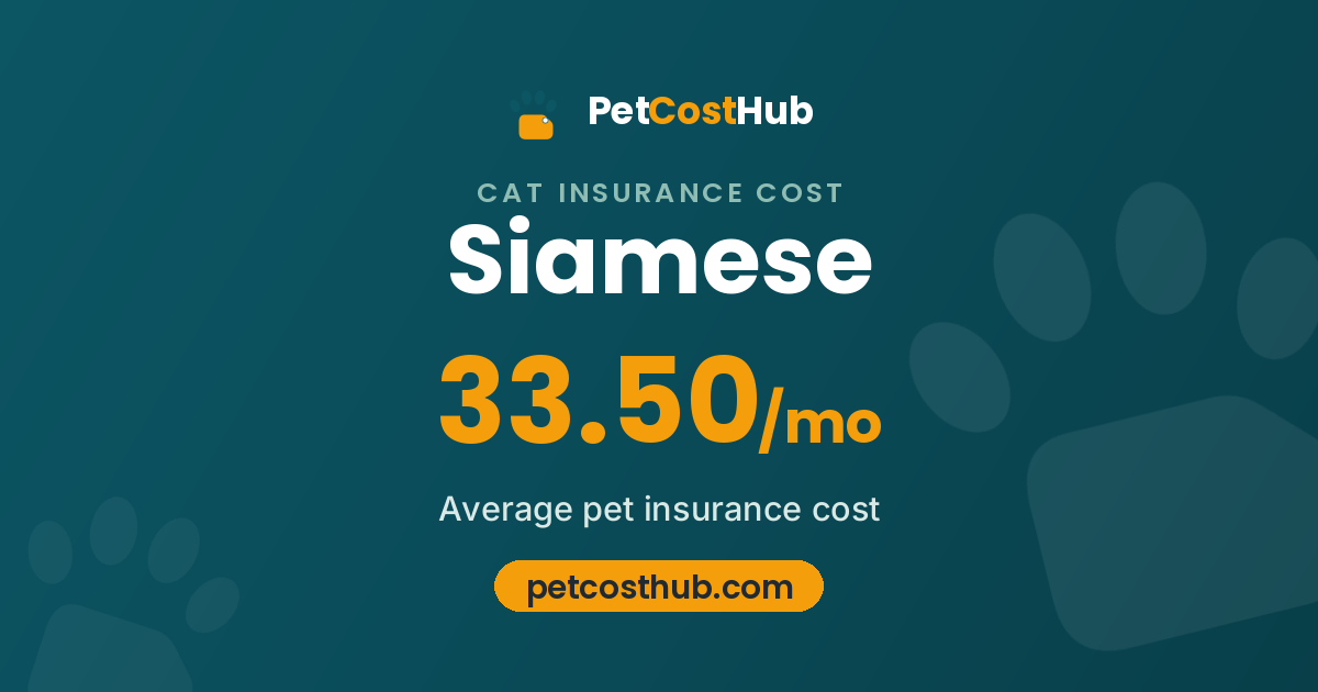 Siamese pet insurance cost: average $33.50 per month