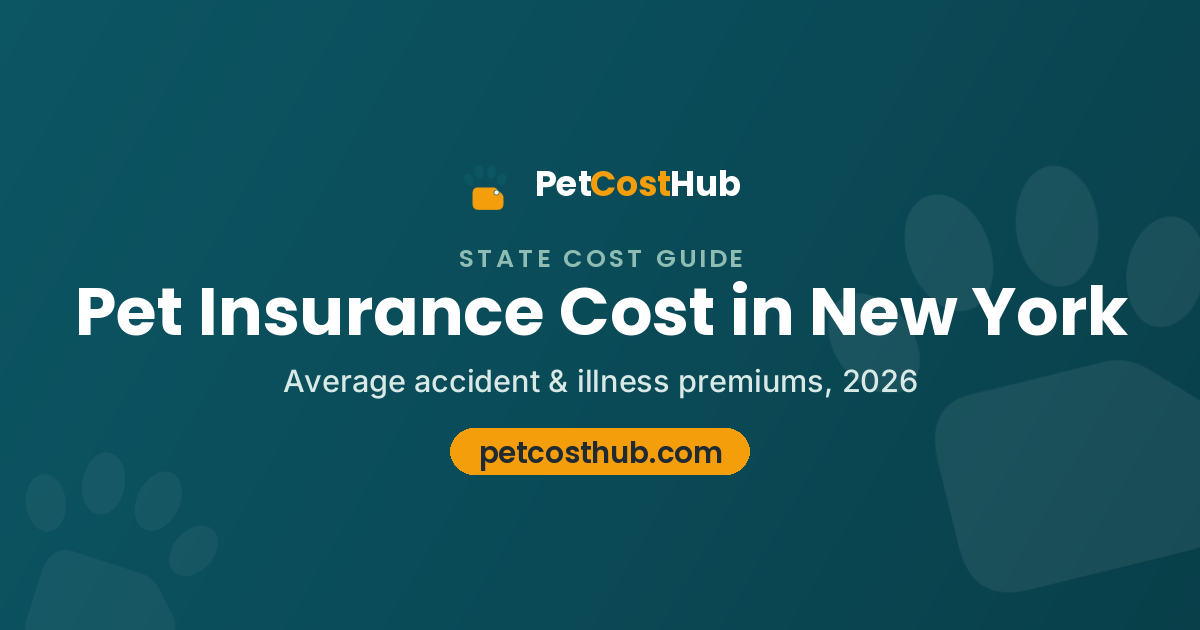 Pet insurance cost in New York: dogs average $88 per month, cats average $46 per month