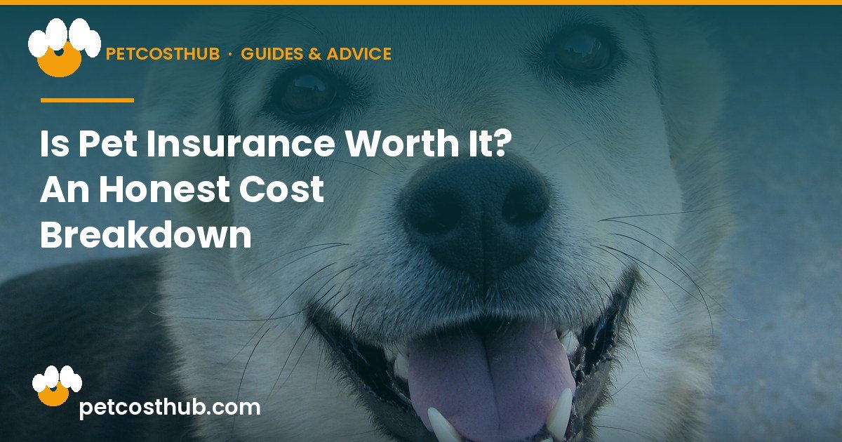 Is Pet Insurance Worth It? An Honest Cost Breakdown