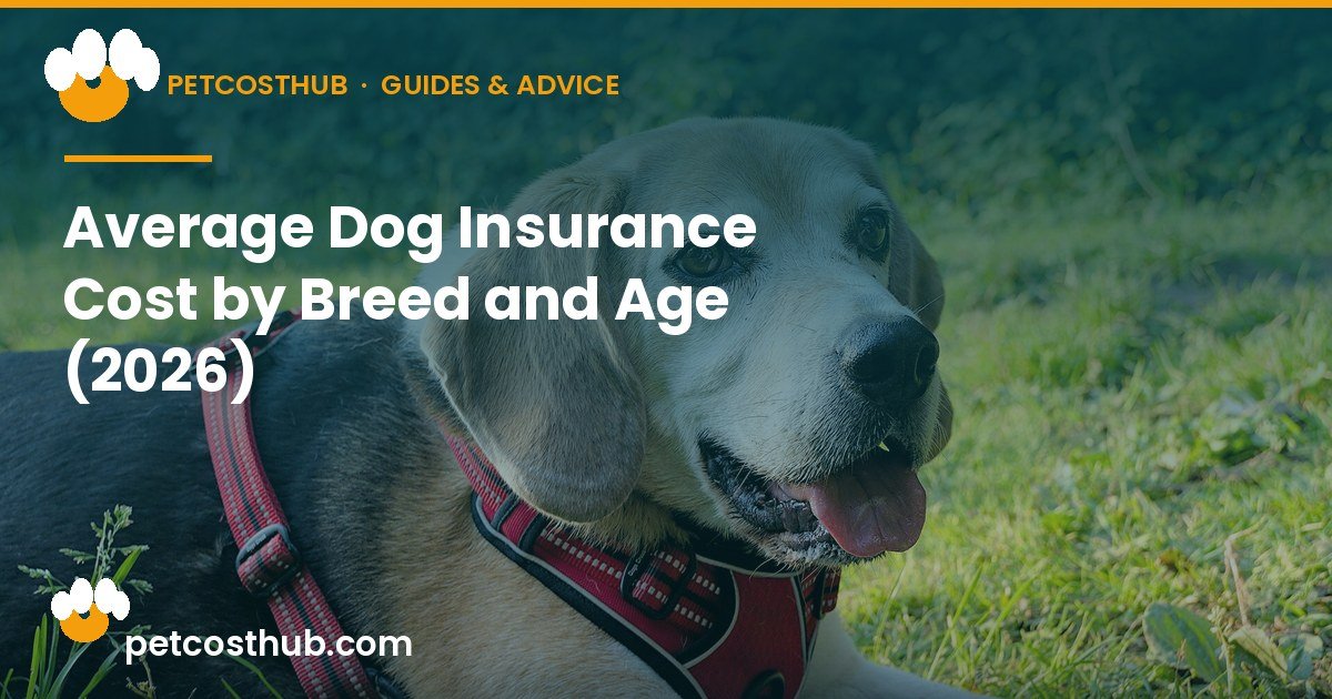 Average Dog Insurance Cost by Breed and Age (2026)
