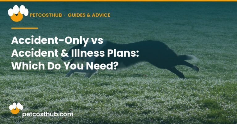 Accident-Only vs Accident & Illness Plans: Which Do You Need?