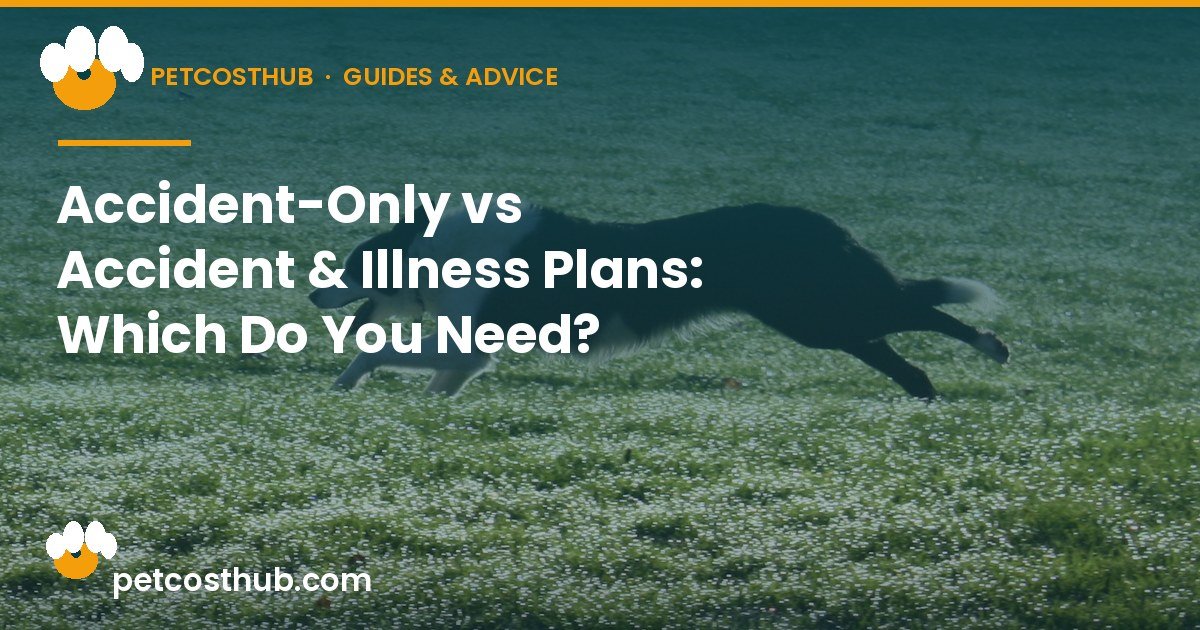 Accident-Only vs Accident & Illness Plans: Which Do You Need?