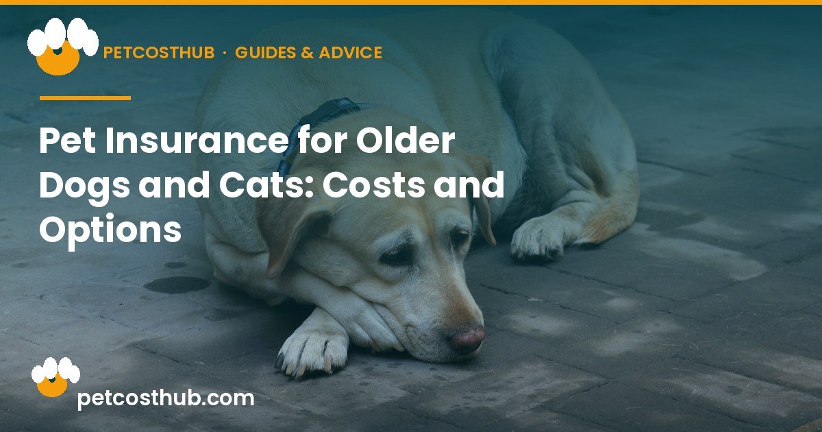 Pet Insurance for Older Dogs and Cats: Costs and Options
