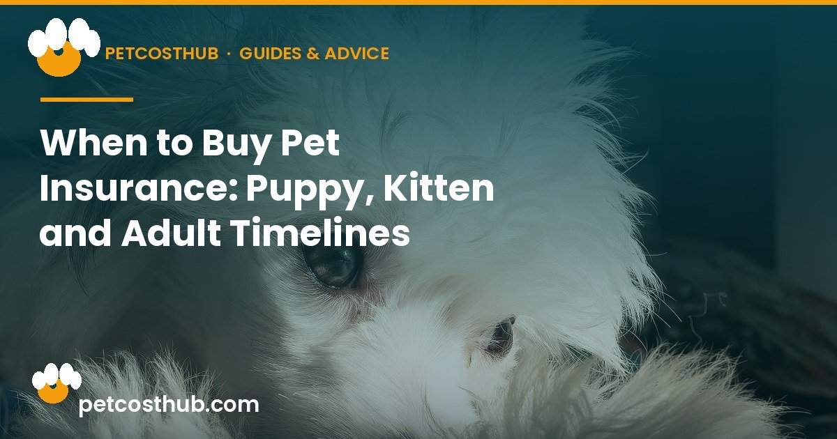 When to Buy Pet Insurance: Puppy, Kitten and Adult Timelines