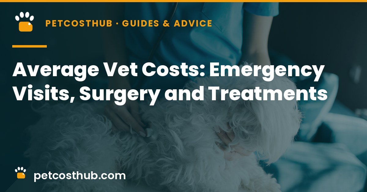 Average Vet Costs in 2026: Emergency Visits, Surgery and Common Treatments