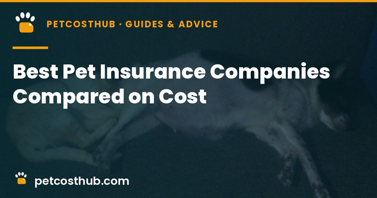 Best Pet Insurance Companies Compared on Cost (2026)