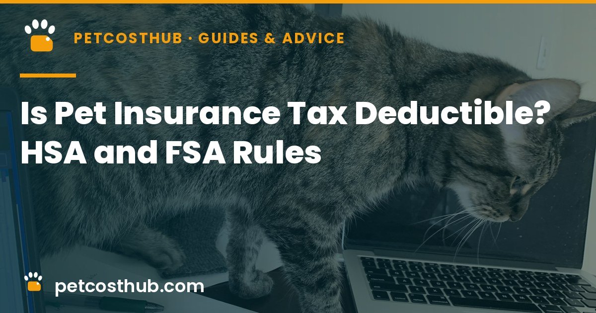 Is Pet Insurance Tax Deductible? HSA and FSA Rules Explained