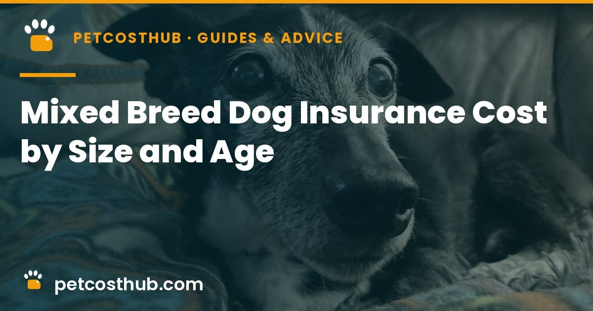 Mixed Breed Dog Insurance Cost by Size and Age (2026)