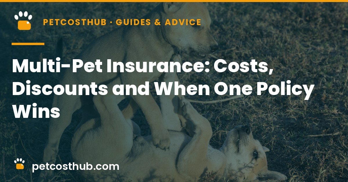 Multi-Pet Insurance: Costs, Discounts and When One Policy Wins