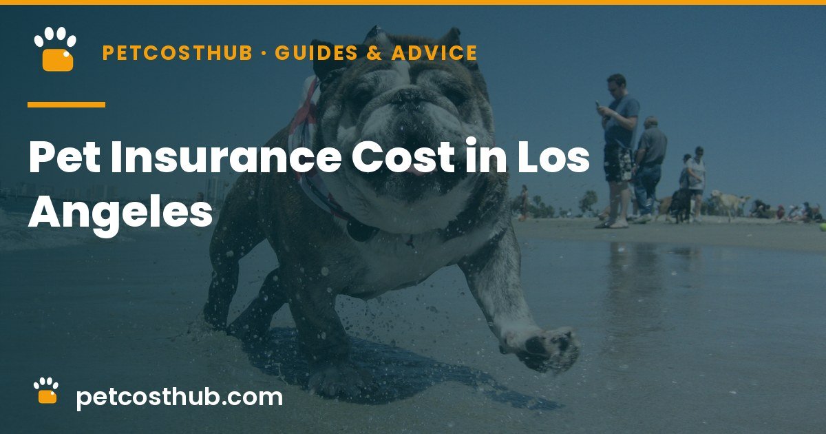 Pet Insurance Cost in Los Angeles: Prices by Breed and Plan