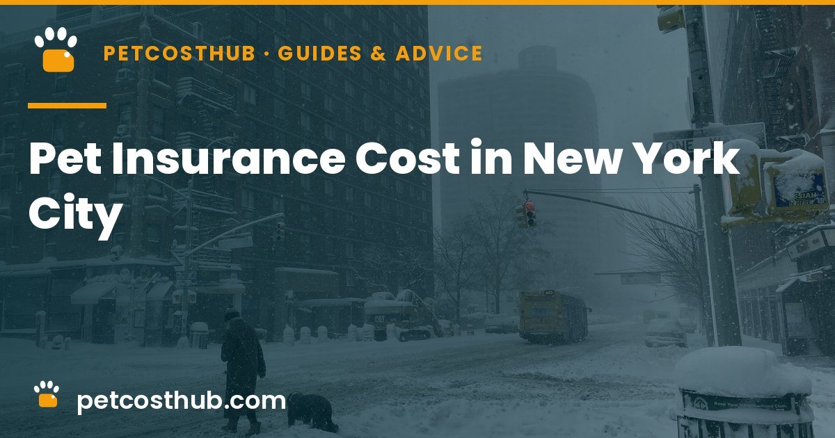 Pet Insurance Cost in New York City: Prices and Why They Run High