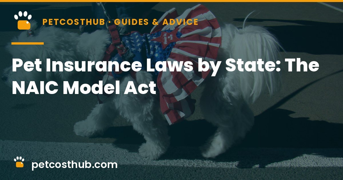 Pet Insurance Laws by State: The NAIC Model Act and Your Rights