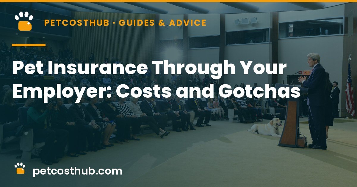 Pet Insurance Through Your Employer: Costs, Discounts and Gotchas