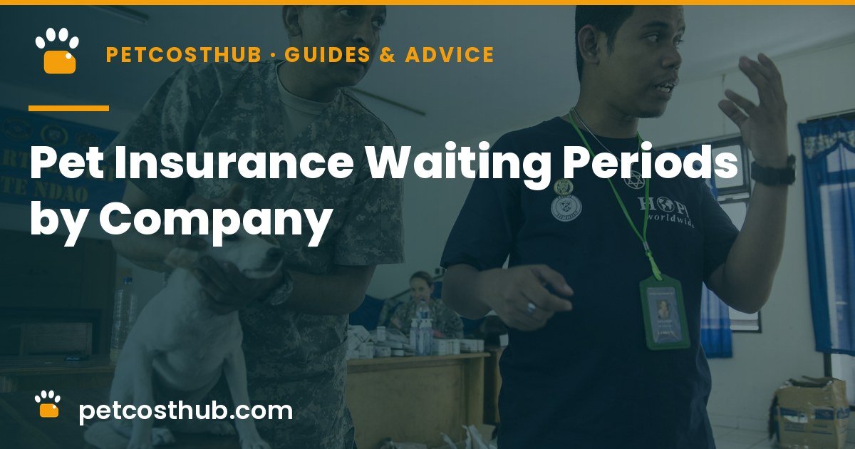Pet Insurance Waiting Periods by Company: Accident, Illness and Orthopedic