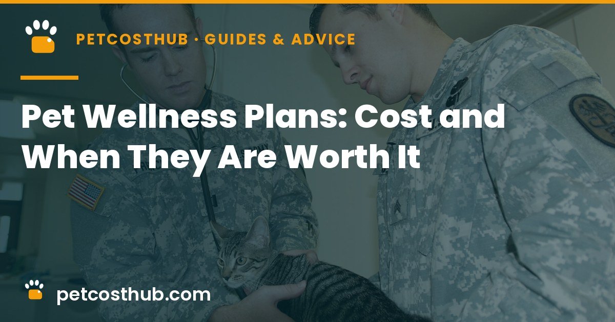 Pet Wellness Plans: What They Cost and When They're Worth It