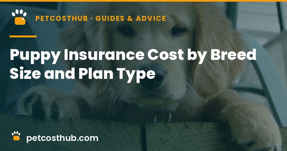 Puppy Insurance Cost by Breed Size and Plan Type (2026)