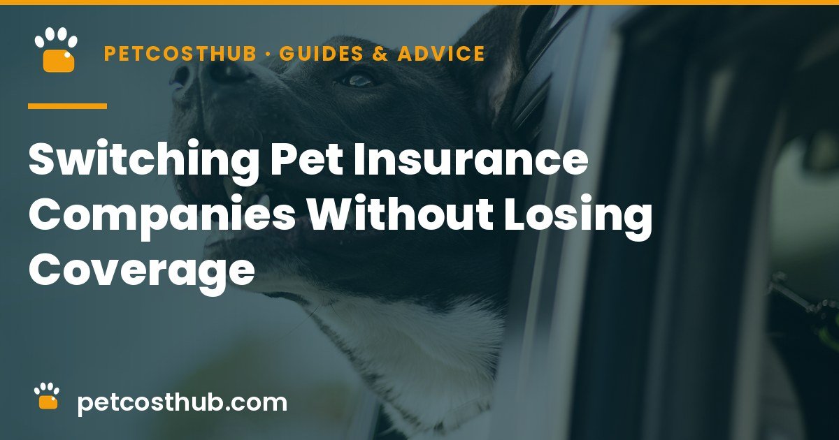 Switching Pet Insurance Companies Without Losing Coverage